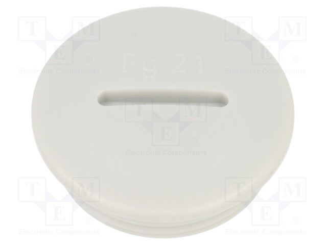 Stopper; PG21; IP56; Mat: polyamide; Body: light grey; Thread: PG