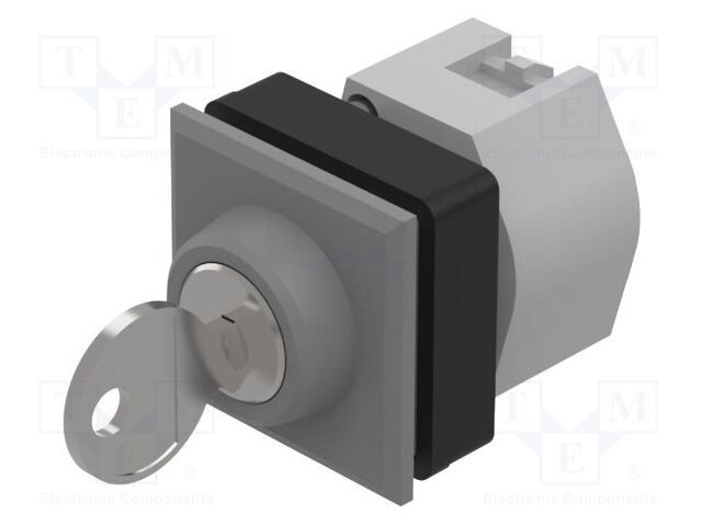 Switch: rotary with key; 30mm; Stabl.pos: 2; silver; none; IP65