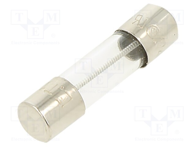 Fuse: fuse; time-lag; 1A; 250VAC; cylindrical,glass; 5x20mm; brass