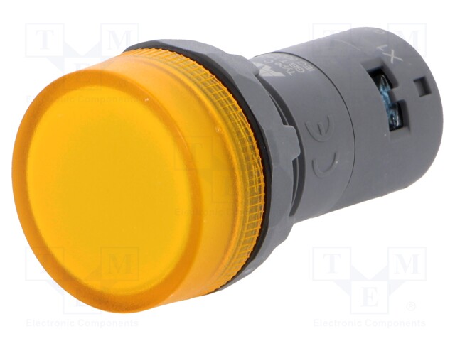 Control lamp; 22mm; CL2; -25÷70°C; Illumin: LED; Ø22mm; 24VAC; 24VDC