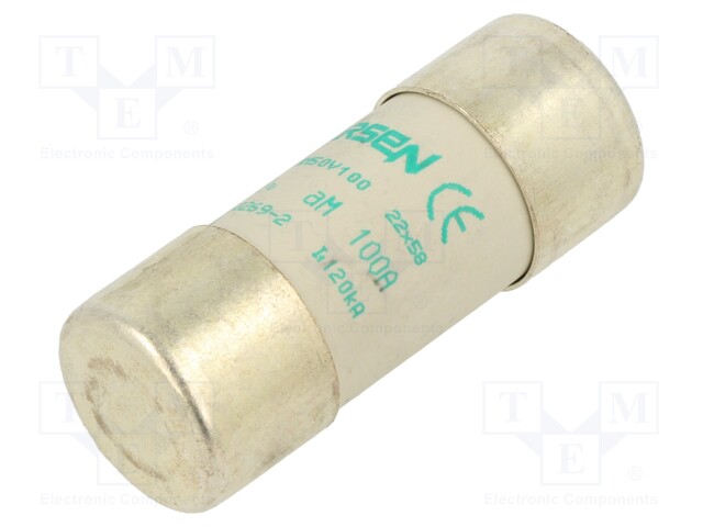 Fuse: fuse; aM; 100A; 500VAC; ceramic; 22x58mm