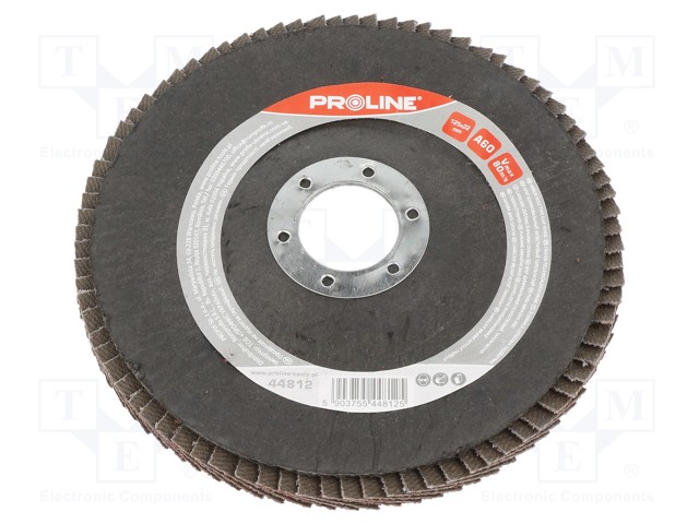 Flap grinding wheels; Ø: 125mm; Øhole: 22.2mm; Granularity: 60