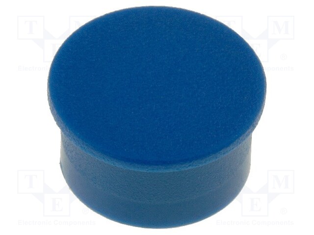 Cap; thermoplastic; push-in; blue