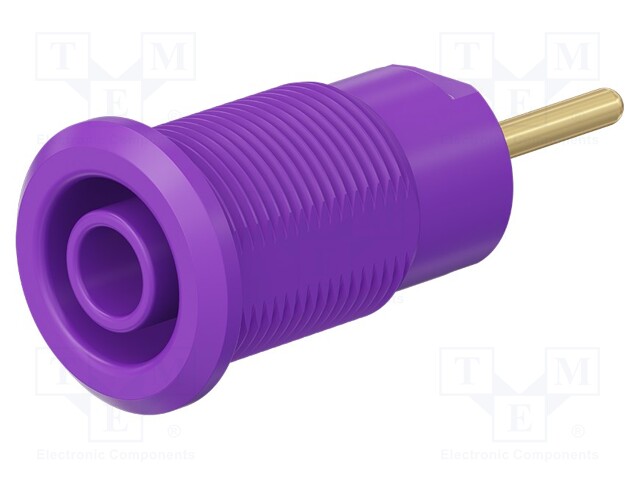 Socket; 4mm banana; 24A; 1kV; violet; gold-plated; on panel