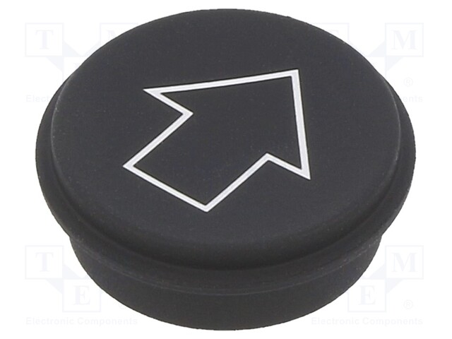 Button; Ø21mm; Pushbutton: round; black; 09