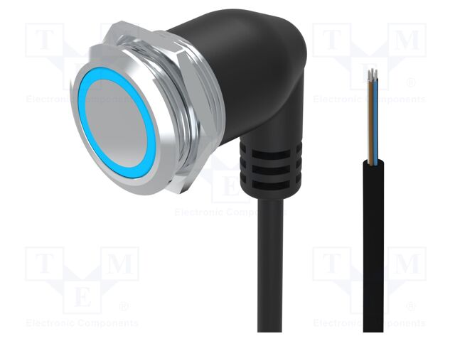 Switch: vandal resistant; Pos: 2; SPDT; 0.6A/35VAC; 600mA/35VDC