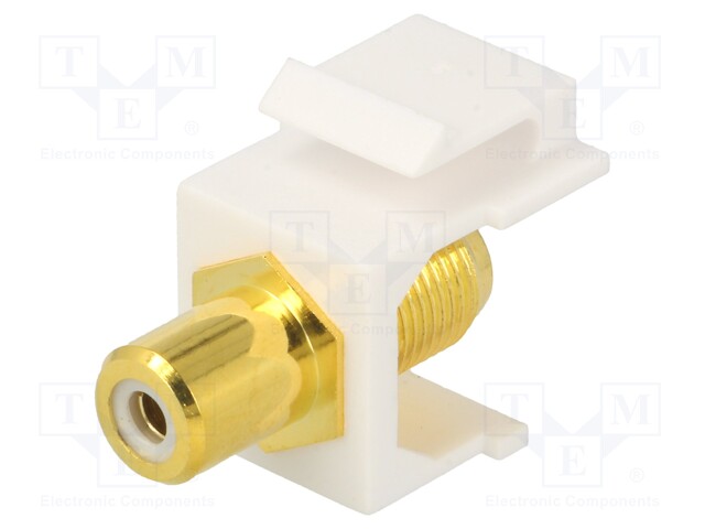 Socket; Transition: adapter; female x2; Keystone; straight