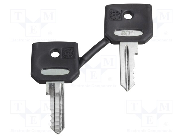 Key; 22mm; Harmony XB4; 2pcs.