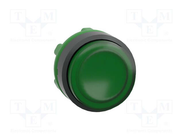 Switch: push-button; Stabl.pos: 1; 22mm; green; IP66; Pos: 2; Ø22mm