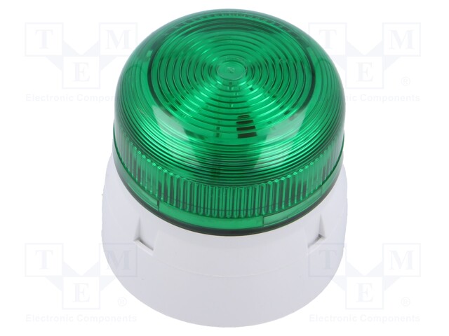 Signaller: lighting; flashing light; white; Flashguard; 110VAC