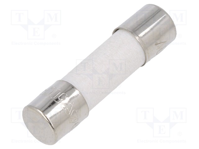 Fuse: fuse; 4A; 250VAC; ceramic; 20x5mm; brass; bulk; nickel plated