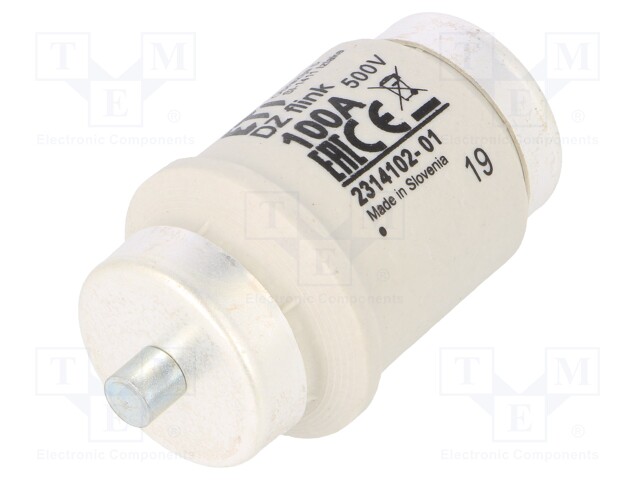 Fuse: fuse; quick blow; 100A; 500VAC; 500VDC; ceramic; DIV; D