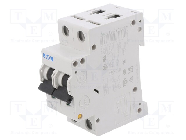 Circuit breaker; 230/400VAC; Inom: 63A; Poles: 2; DIN; Charact: C