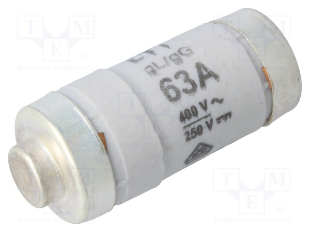 Fuse: fuse; gG,gL; 63A; 400VAC; 250V; industrial; D02