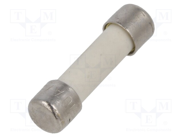 Fuse: fuse; ultra rapid; 10A; 250VAC; ceramic,cylindrical; 5x20mm