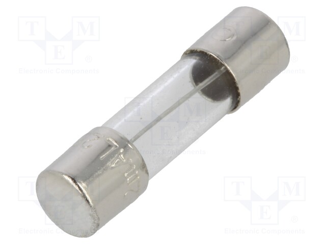 Fuse: fuse; time-lag; 250VAC; cylindrical,glass; 5x20mm; brass