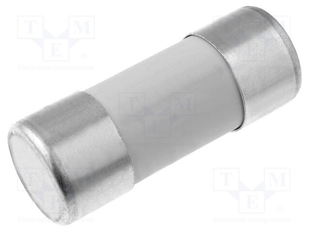 Fuse: fuse; aM; 100A; 500VAC; ceramic,cylindrical,industrial