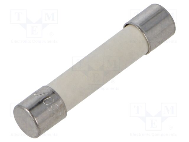 Fuse: fuse; quick blow; 10A; 250VAC; 125VDC; ceramic,cylindrical