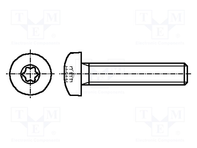 Screw; M6x20; Head: button; Torx®; acid resistant steel A4; TX30