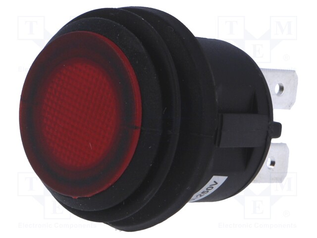 Switch: push-button; Pos: 2; DPST-NO; 6A/250VAC; red; red; IP65; 50mΩ