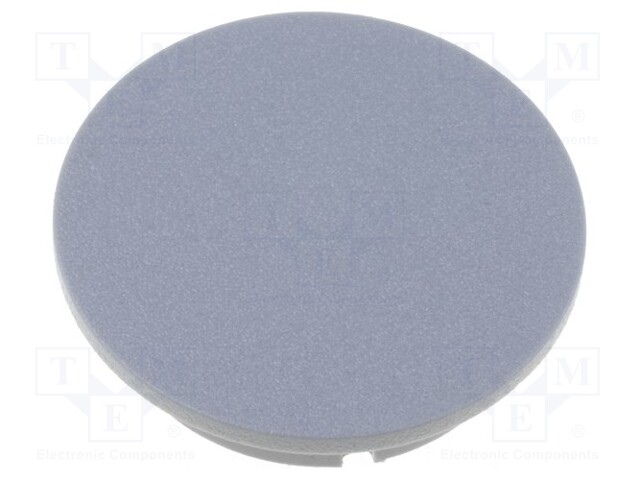 Cap; plastic; grey; push-in; Application: G4312.6131