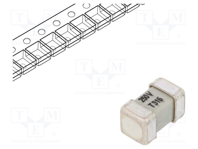 Fuse: fuse; time-lag; 315mA; 250V; SMD; ceramic; 8x4,5x4,5mm; brass