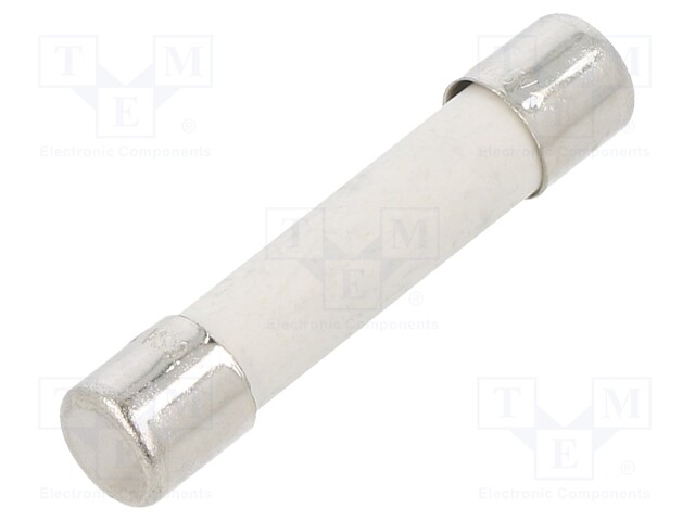 Fuse: fuse; time-lag; 10A; 250VAC; cylindrical,glass; brass; GSA