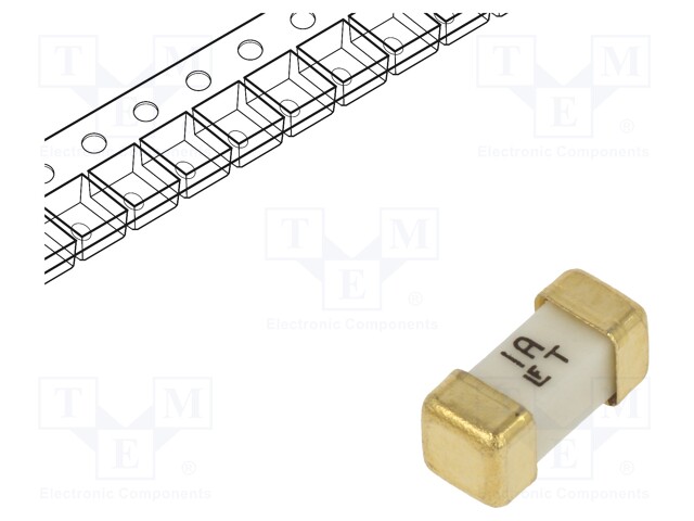 Fuse: fuse; time-lag; 1A; 125VAC; 125V; 125VDC; SMD; ceramic; 449