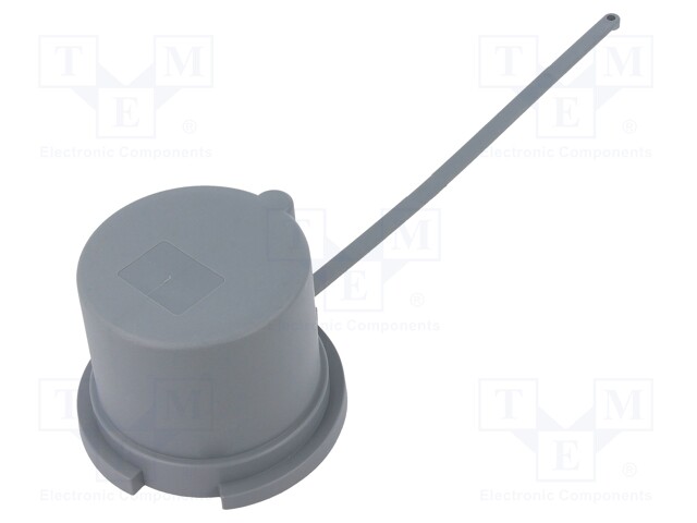 Protection; plug; male; 63A; IEC 60309; IP67; screwed