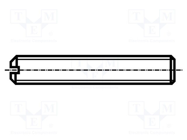 Screw; M3x3; DIN: 551; Head: without head; slotted; 0,4mm