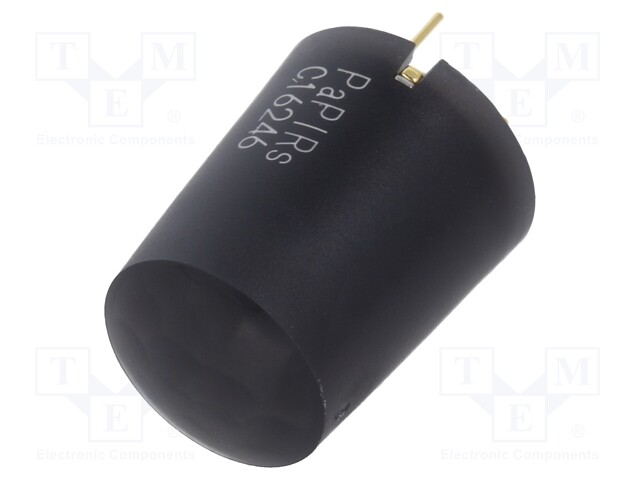 PIR Sensor, PaPIRS, Digital, Black, 5 m, 3 VDC, 6 VDC, 94 °, EKMC Series