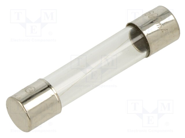 Fuse: fuse; 600mA; 250VAC; glass; 6.35x31.8mm; brass; bulk