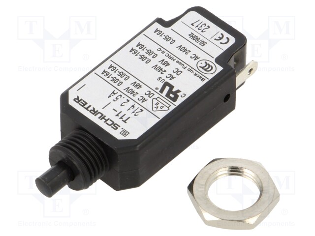 Circuit breaker; Urated: 240VAC; 48VDC; 0.1A; SPST; Poles: 1; screw