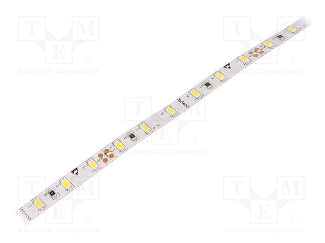 LED tape; white cold; LED/m: 60; SMD; 5630; 24V; W: 10mm; 120°; HP