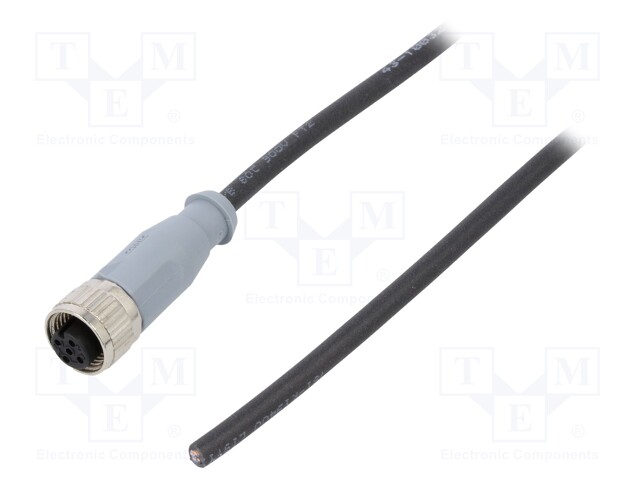 Plug; M12; PIN: 4; female; A code-DeviceNet / CANopen; 2m; straight