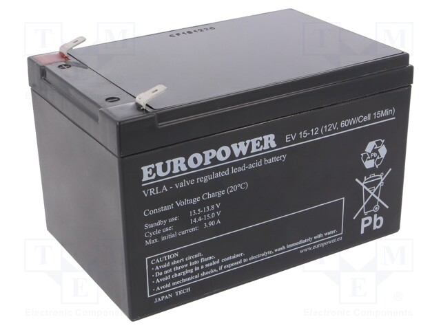 Re-battery: acid-lead; 12V; 13Ah; AGM; maintenance-free