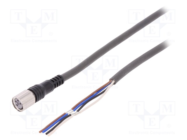 Connection lead; M8; PIN: 4; straight; 5m; plug