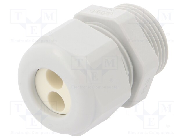 Cable gland