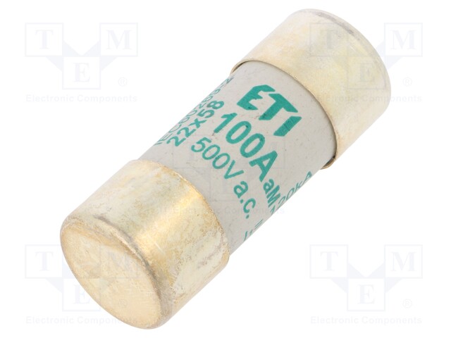 Fuse: fuse; aM; 100A; 500VAC; cylindrical,industrial; 22x58mm