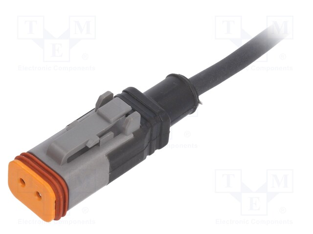 Connection lead; DT06-2S; PIN: 2; straight; 5m; plug; 48VAC; 8A