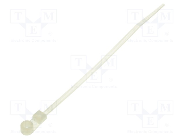 Cable tie; with a hole for screw mounting; L: 113mm; W: 2.5mm