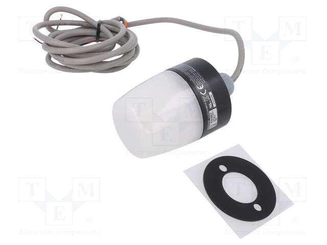 Signaller: lighting-sound; buzzer,continuous light; NE-M1A; IP65