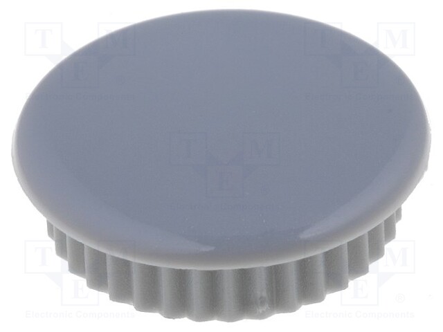 Cap; grey; Application: SK20-G/B