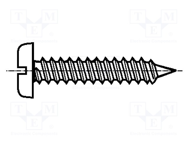 Screw; 3.9x16; Head: cheese head; slotted; 1mm; steel; zinc; BN 941