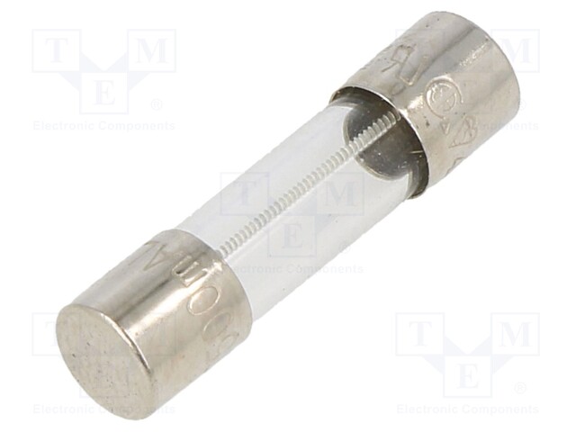 Fuse: fuse; time-lag; 250VAC; cylindrical,glass; 5x20mm; brass