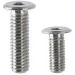 Ultra Low-Profile Hex Socket Cap Screw (CBSTSR5-10)