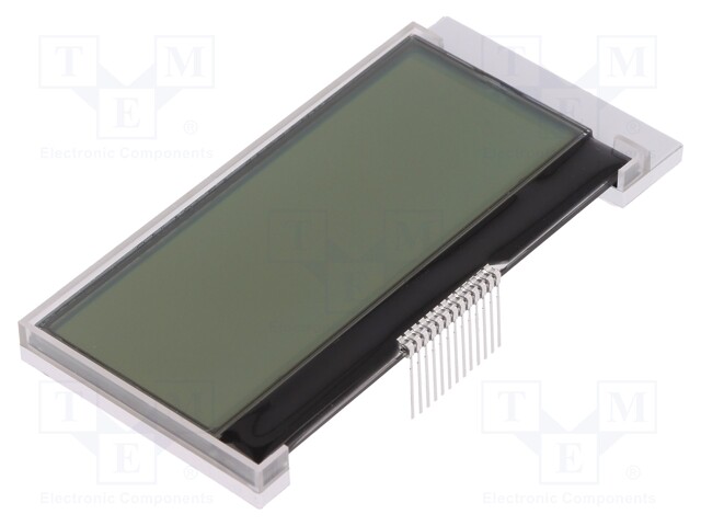 Display: LCD; alphanumeric; COG,FSTN Positive; 20x4; LED; PIN: 13