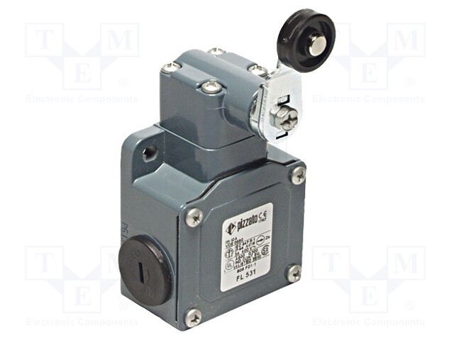 Limit switch; lever R 40mm, plastic roller Ø20mm; NO + NC; 10A