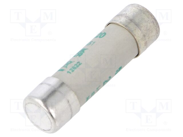 Fuse: fuse; aM; 20A; 500VAC; ceramic,cylindrical,industrial