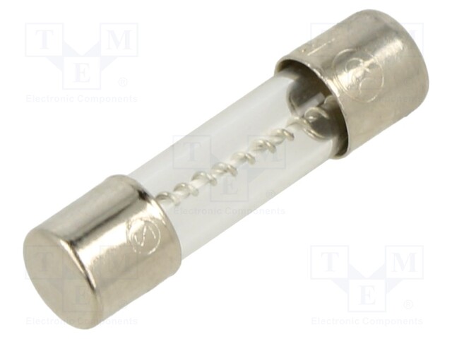 Fuse: fuse; time-lag; 10A; 250VAC; cylindrical,glass; 5x20mm; brass